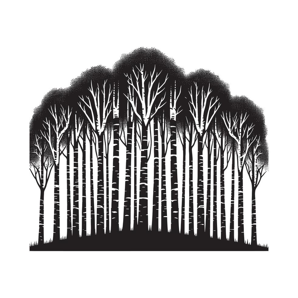 Minimalist Black Silhouette of Birch Grove Scenic Design on White Background vector