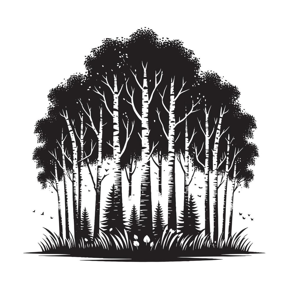 Black Silhouette of Birch Trees Grove Flat Design on White Background vector