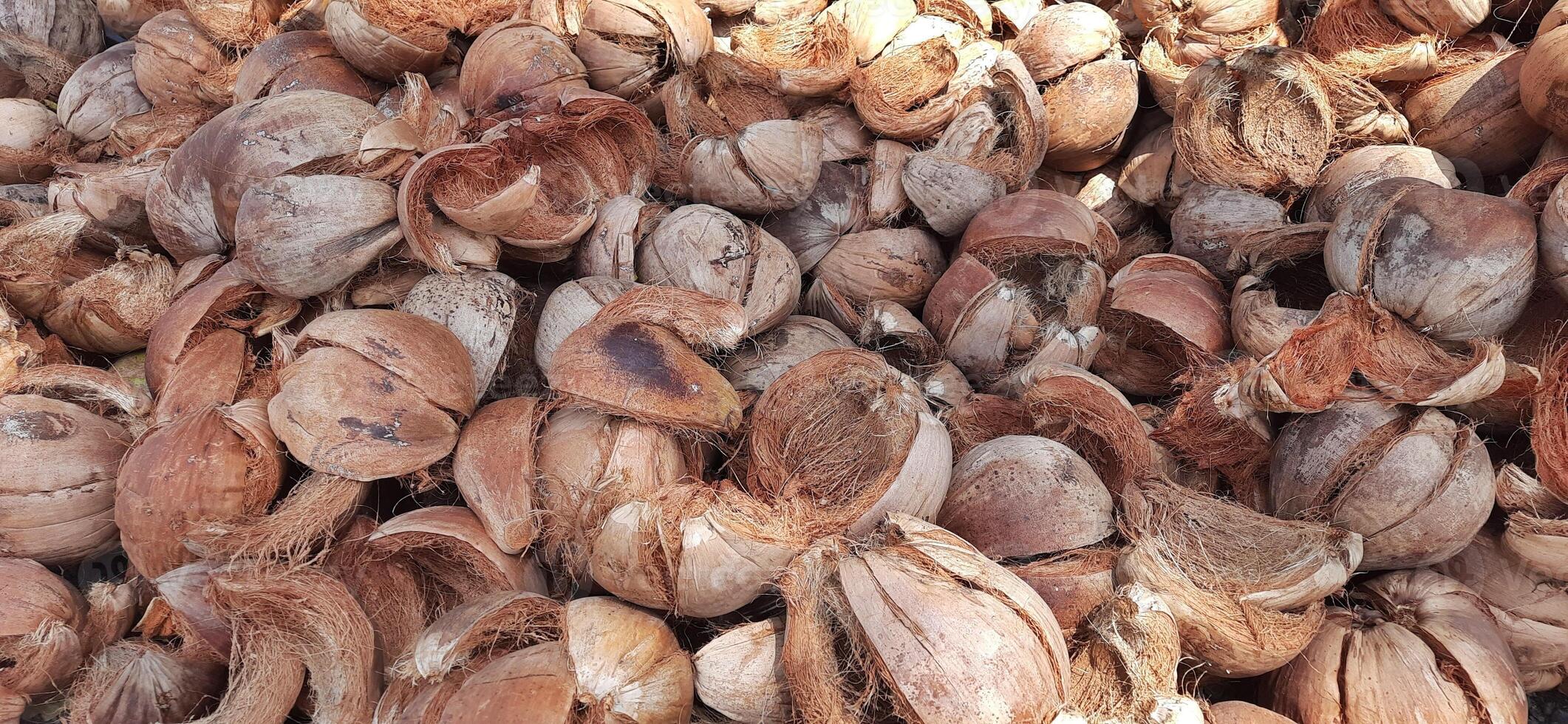 Pile of dried brown coconut coir shell skins background photo