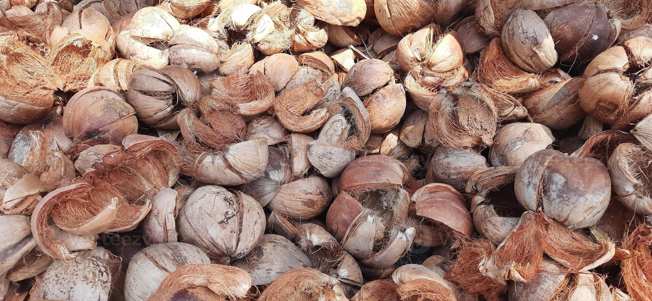 Pile of dried brown coconut coir shell skins background photo