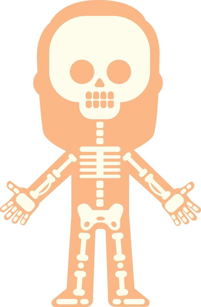 Stylized illustration showing human skeleton bones inside body silhouette, suitable for educational or medical purposes, with arms open vector