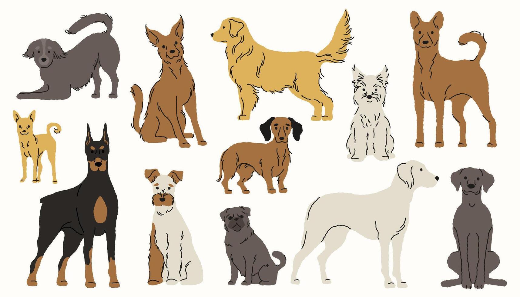 Dog breeds. Cute cartoon puppies, funny flat canines different breeds and colors, adorable pet companionship concept. isolated set vector