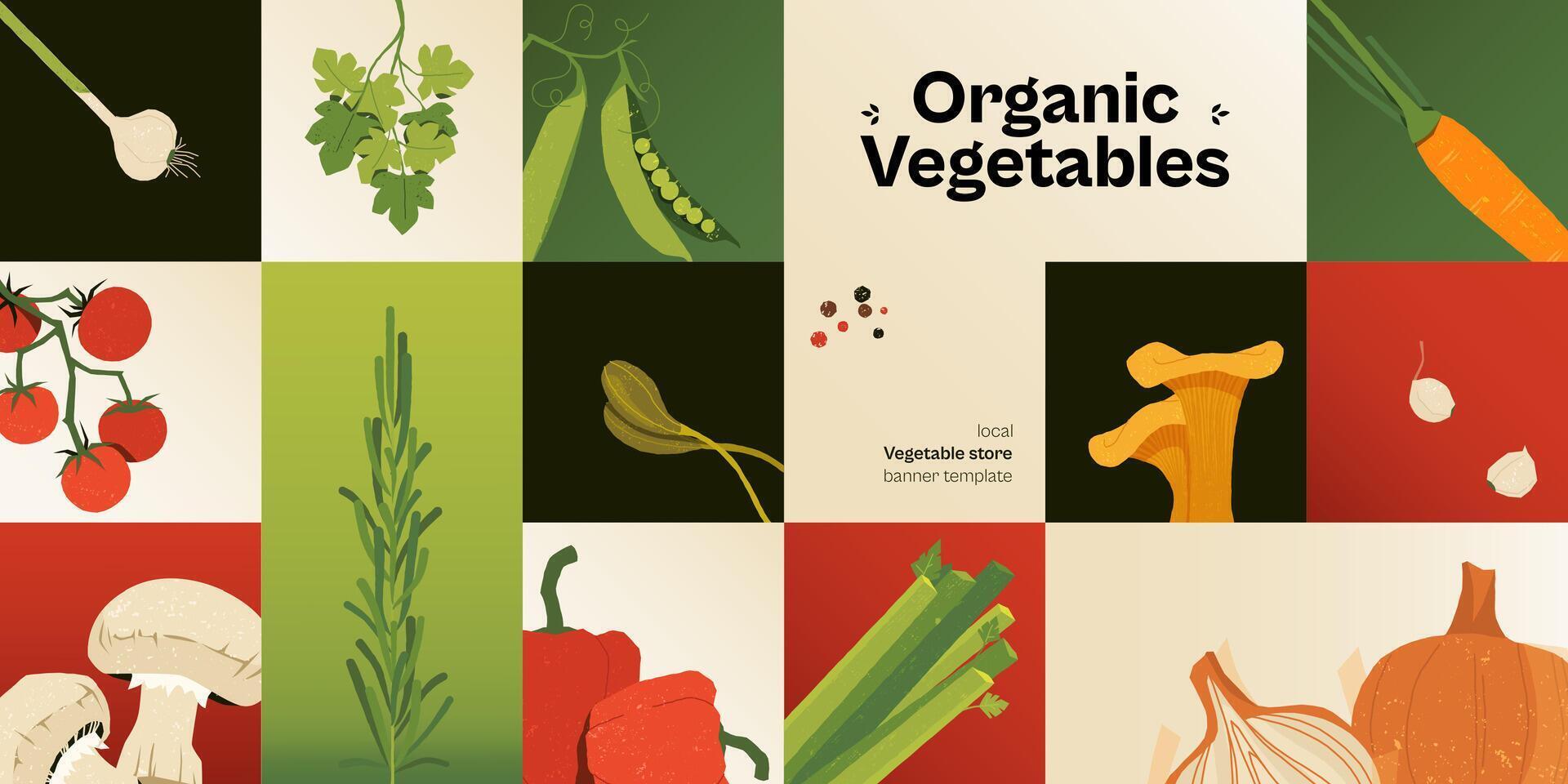 Vegetables abstract banner. Minimal organic food posters with simple geometric shapes, scandinavian vegetarian restaurant menu design. illustration vector