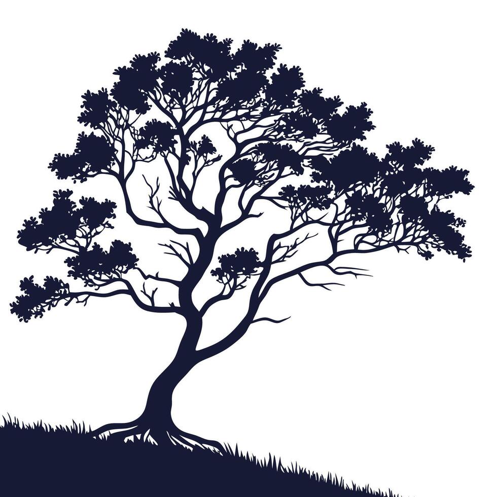 Silhouette of tree on hill vector
