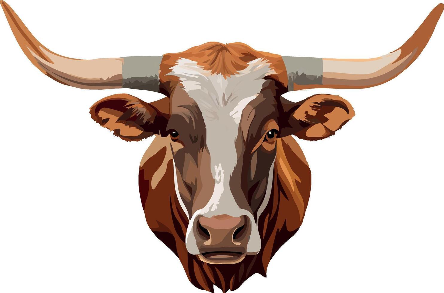 Texas longhorn bull showing its large horns vector