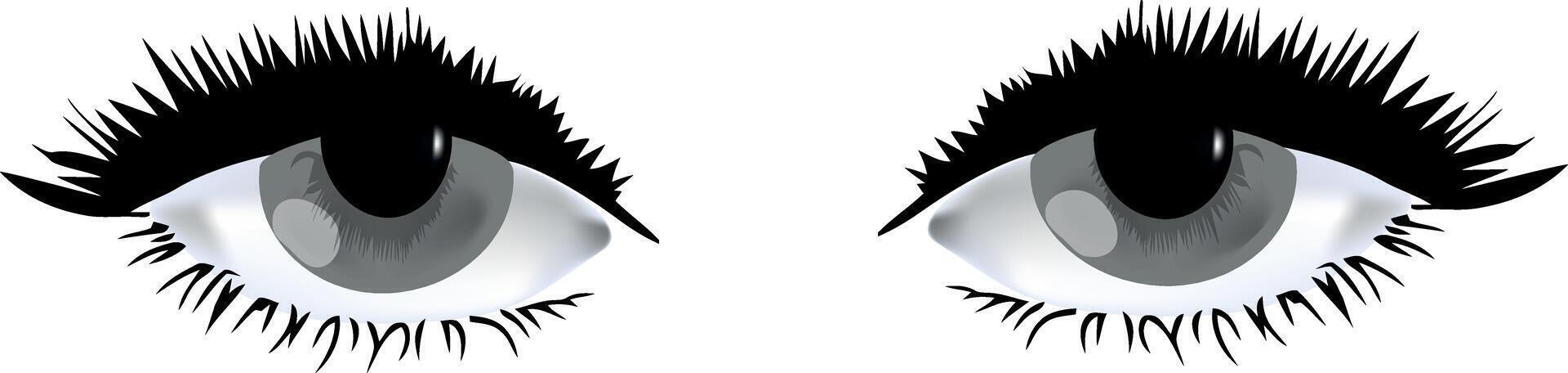 An image of a pair of eyes with long lashes vector