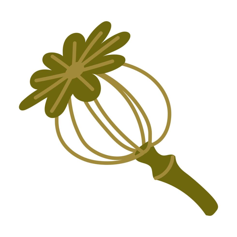 Color illustration of a poppy bud, capsule. Dried poppy seed pod. Flat illustration of a doodle dried volume. hand-drawn. illustration of an isolated bud with ribs. Cute dried form for herbarium vector