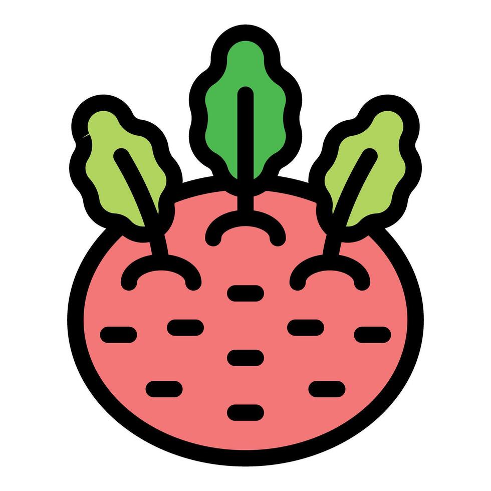 Fresh beetroot growing with green leaves, a vibrant illustration of root vegetable vector