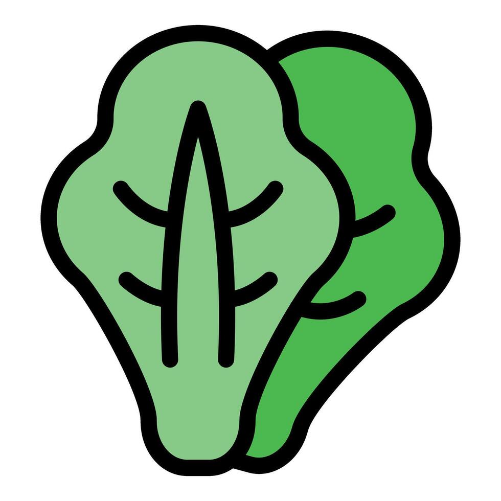 Two green lettuce leaves representing healthy eating and vegetarian lifestyle vector
