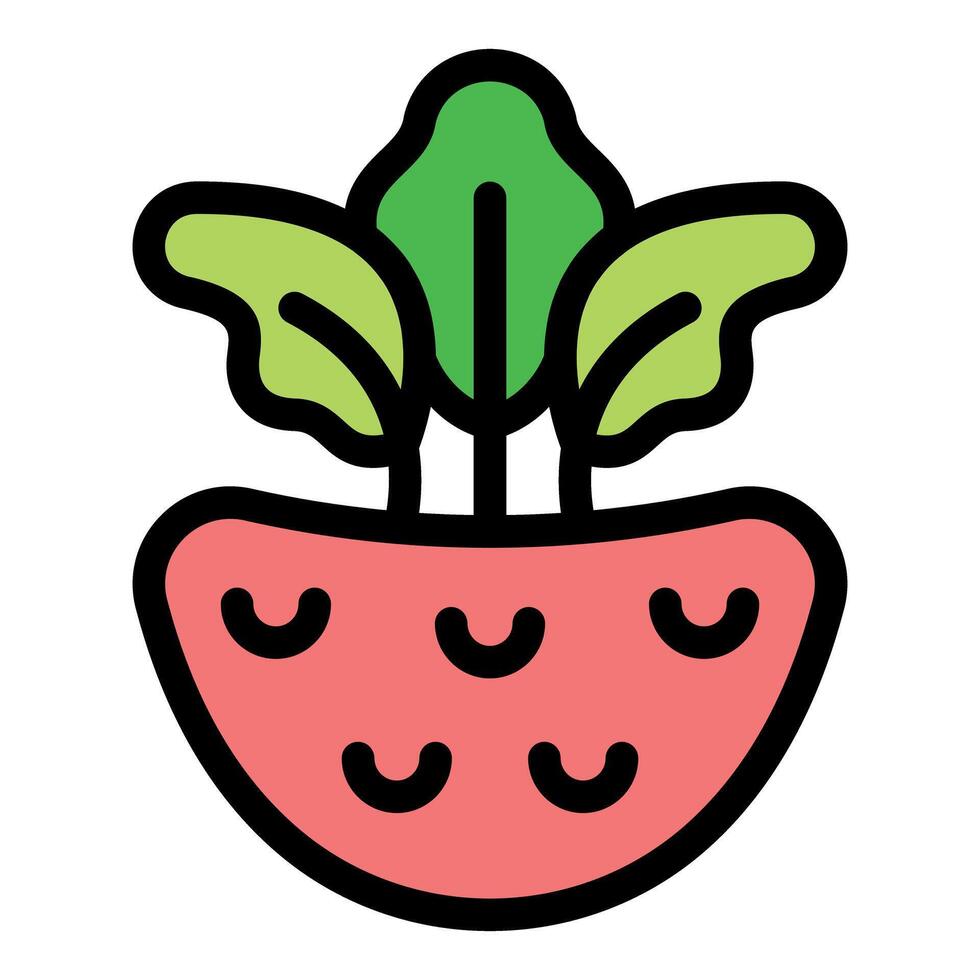Half beetroot with leaves growing from the top vector