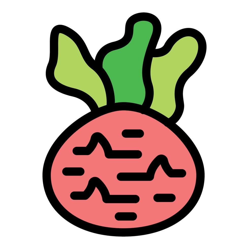 Fresh beetroot growing from the ground with vibrant green leaves vector