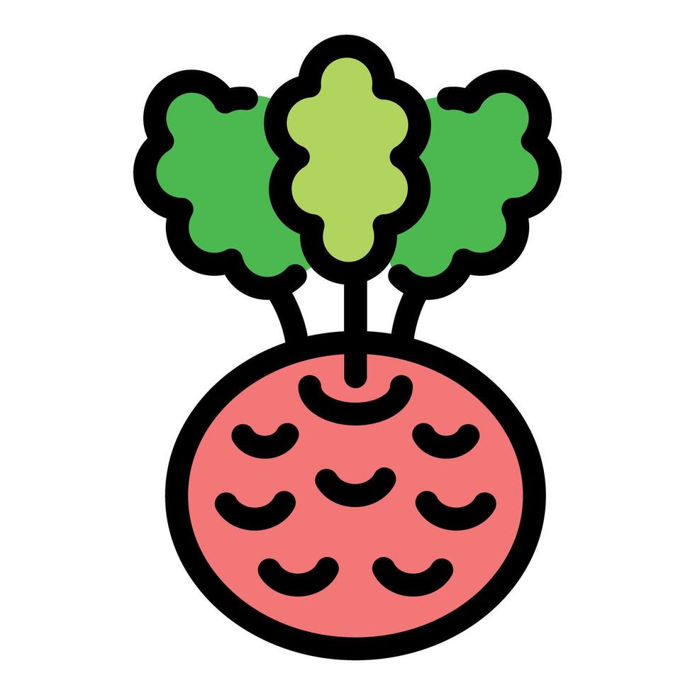Fresh beetroot with green leaves growing from the ground vector