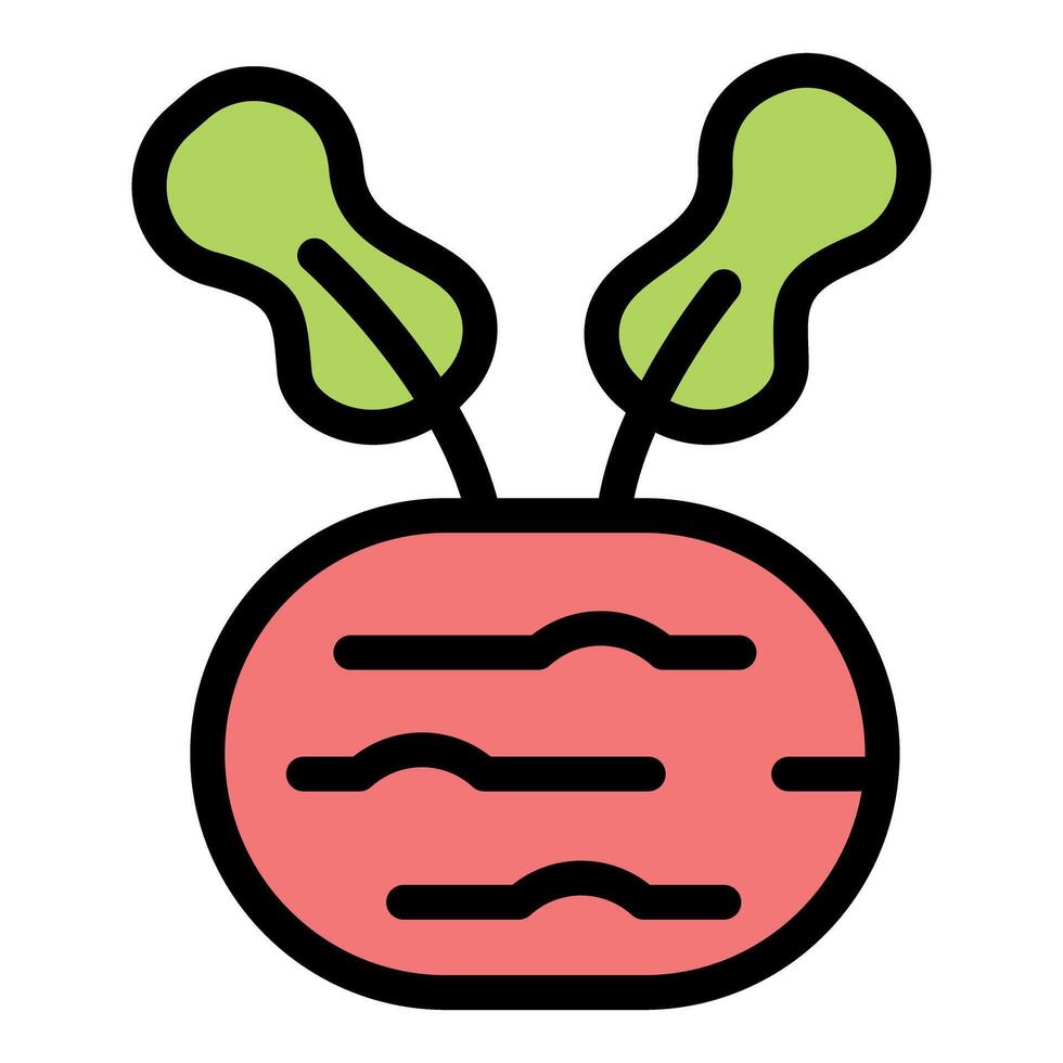 Fresh beetroot growing with leaves, healthy vegetable icon vector