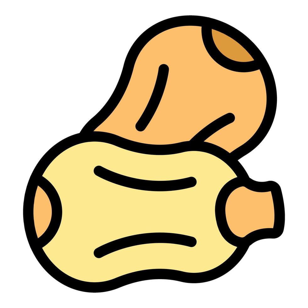 Two peeled peanuts showing nutritional food value vector
