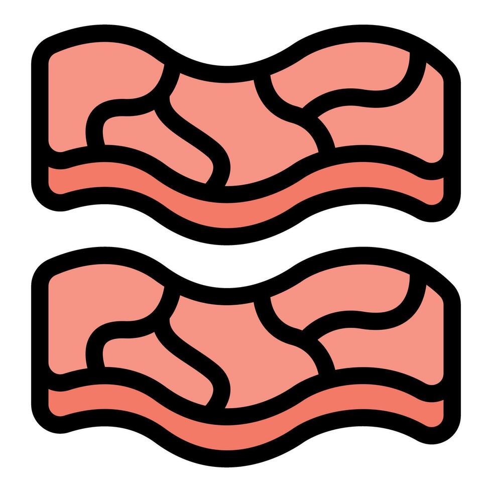 Two slices of bacon showing marbling, illustrating delicious breakfast food vector