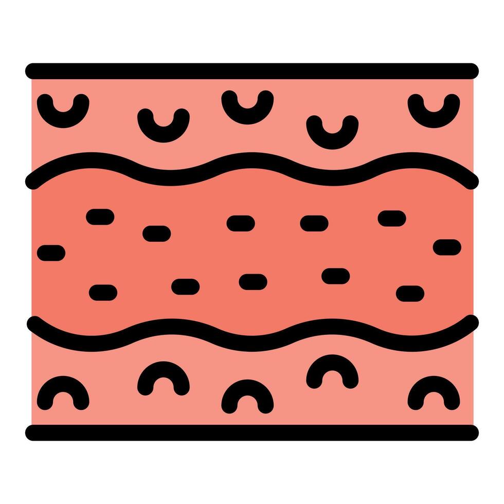 Muscle tissue showing sliding filament theory of muscle contraction vector