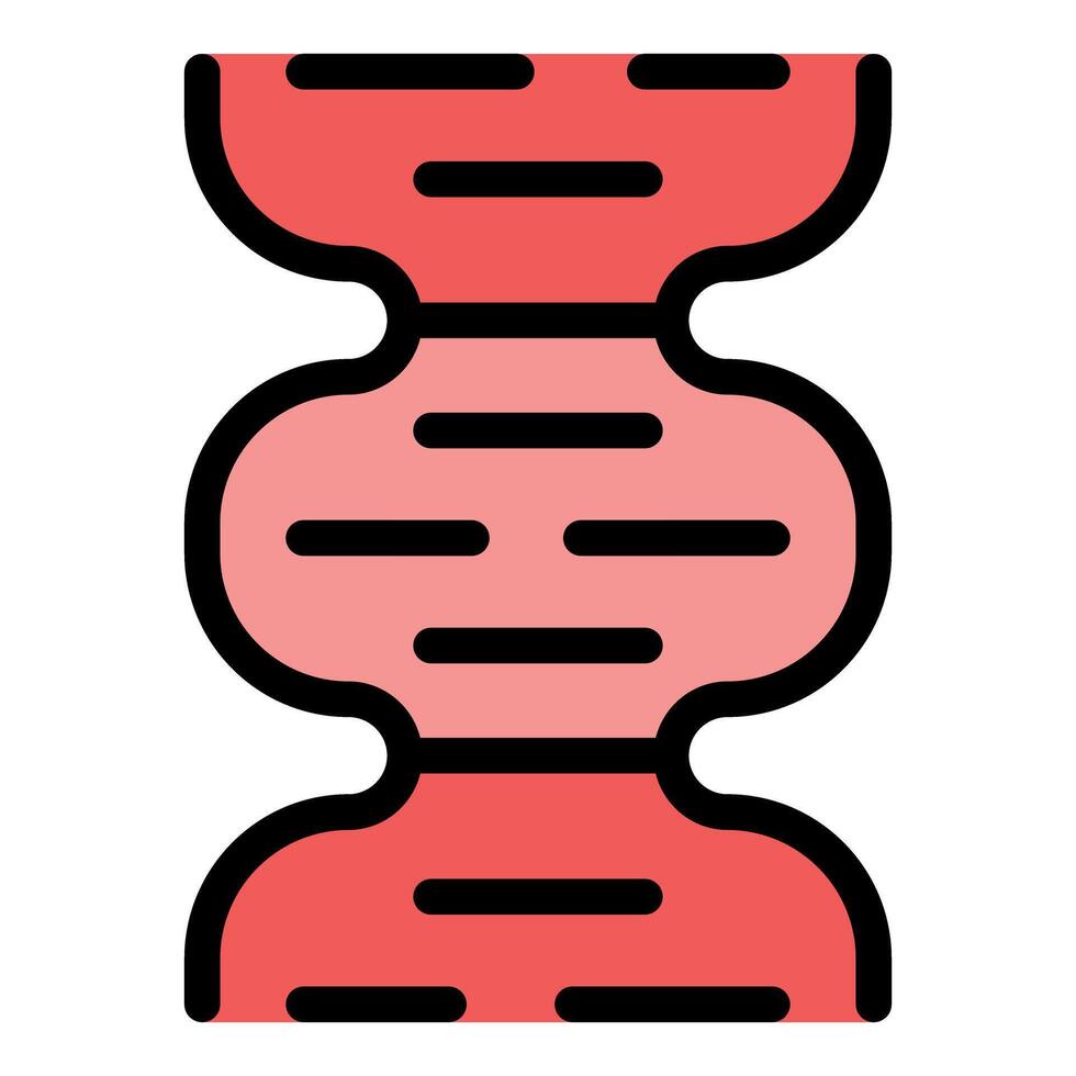 Dna structure showing nitrogenous bases connecting two strands vector