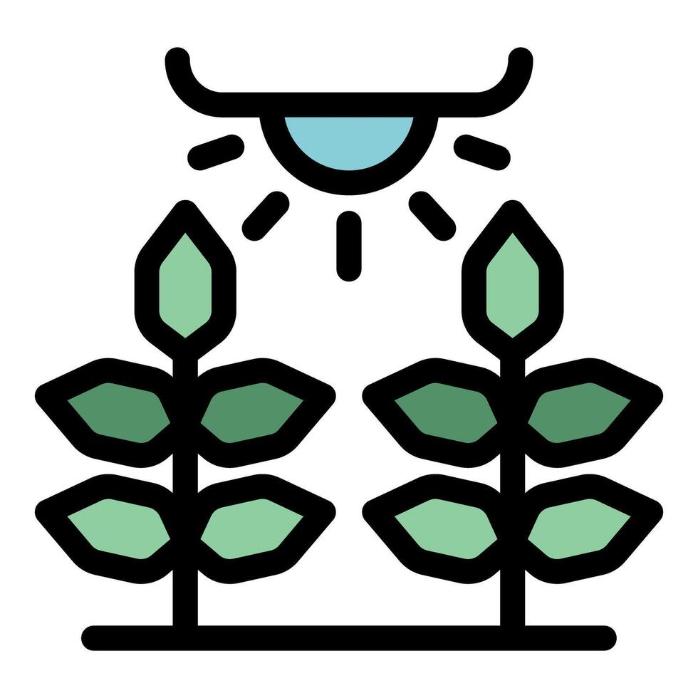 Smart farm using hydroponic technology growing plants with artificial light vector