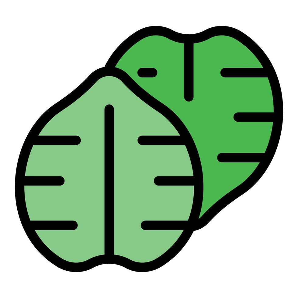 Two green walnut leaves overlapping creating a vibrant pattern vector