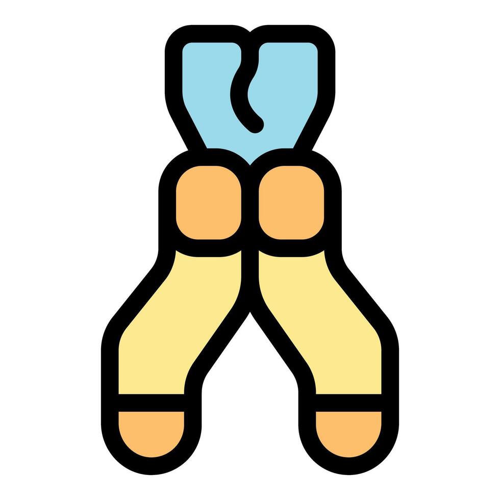Chromosome structure showing genetic material biology icon vector