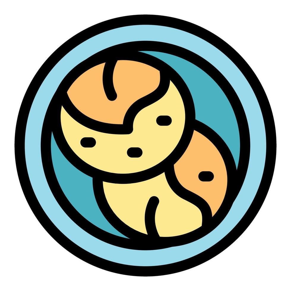 Two falafel balls on a plate, middle eastern cuisine icon vector