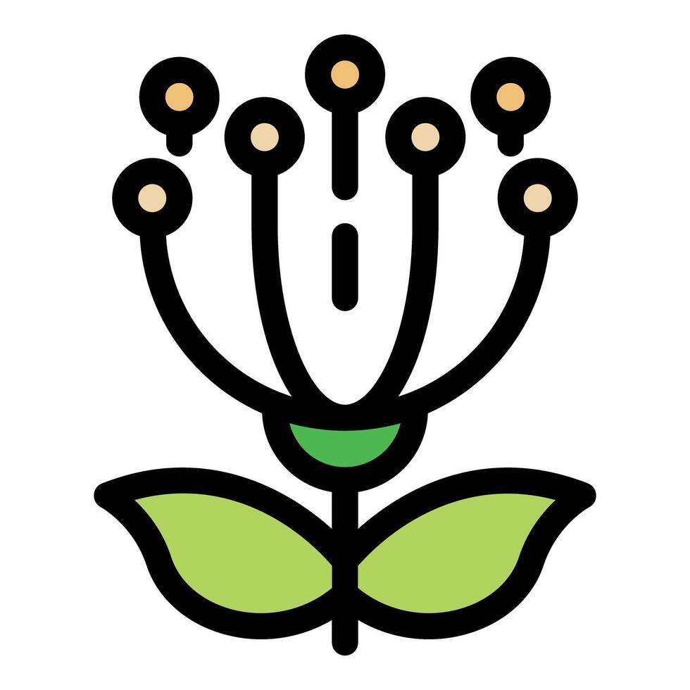 Blooming flower with green leaves and round petals, botanical icon vector