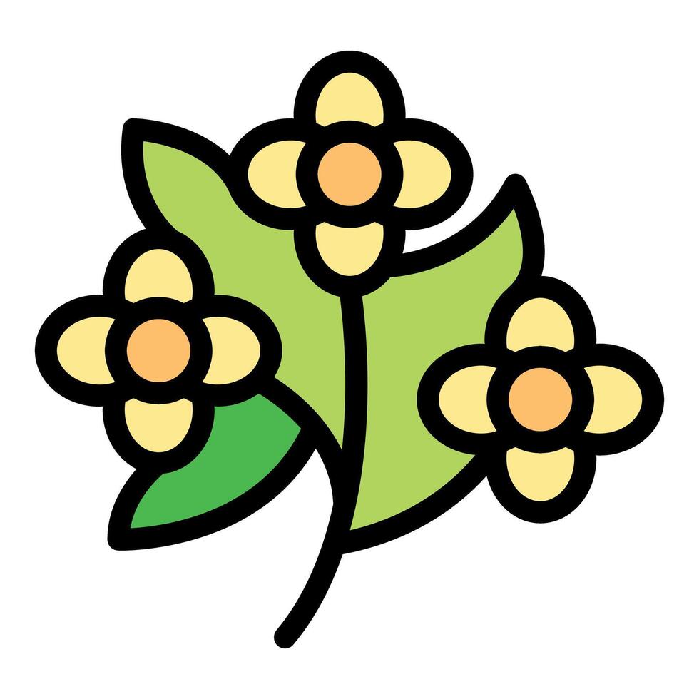Blooming jasmine flowers with green leaves on stem vector