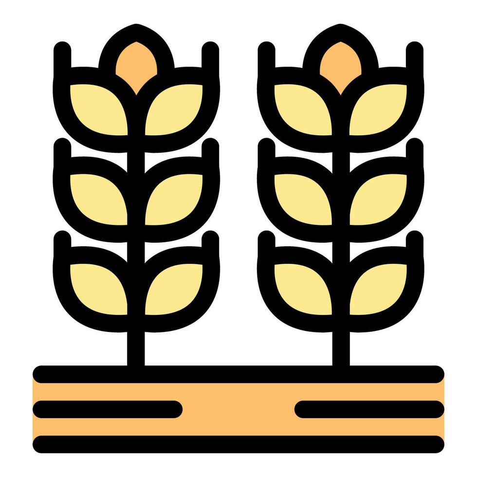 Wheat growing in the field, agriculture and food production icon vector