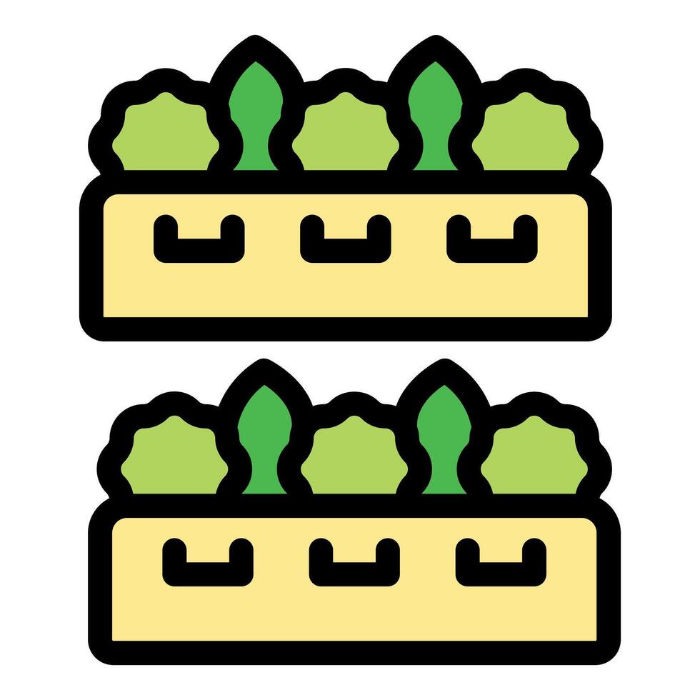 Hydroponic system growing green vegetables in stacked trays vector