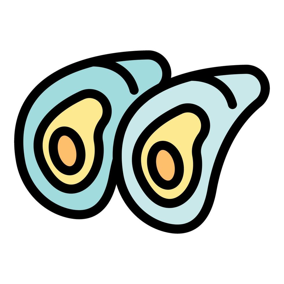 Two fresh oysters showing delicious meat inside shell vector