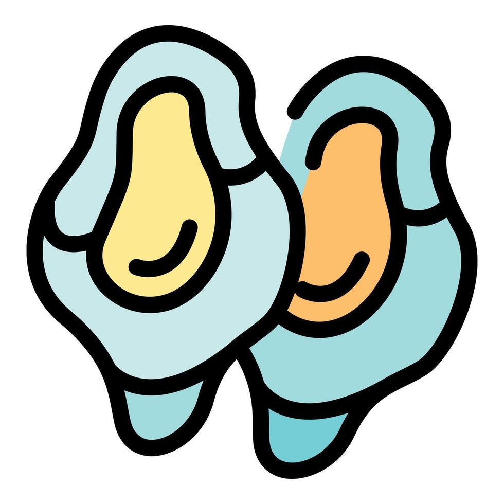 Two fresh oysters showing delicious, nutritious, and appetizing meat vector