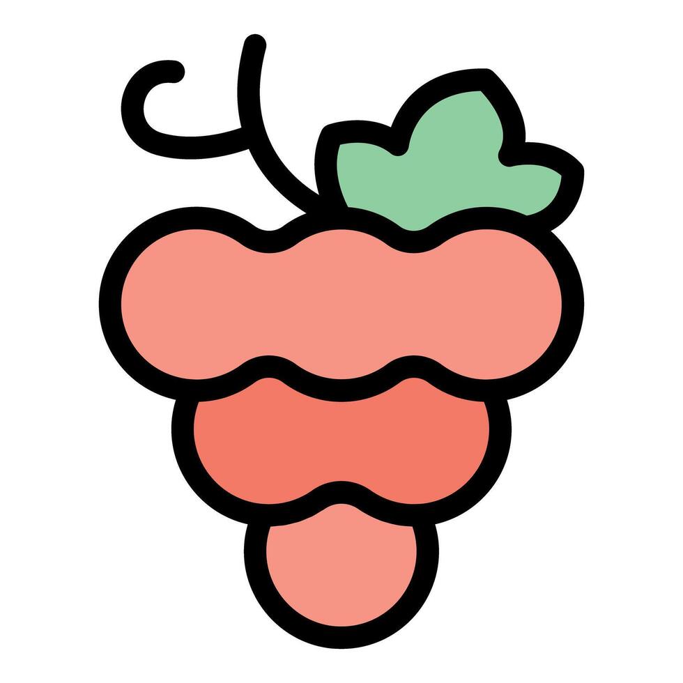 Bunch of grapes with leaves growing on vine icon vector
