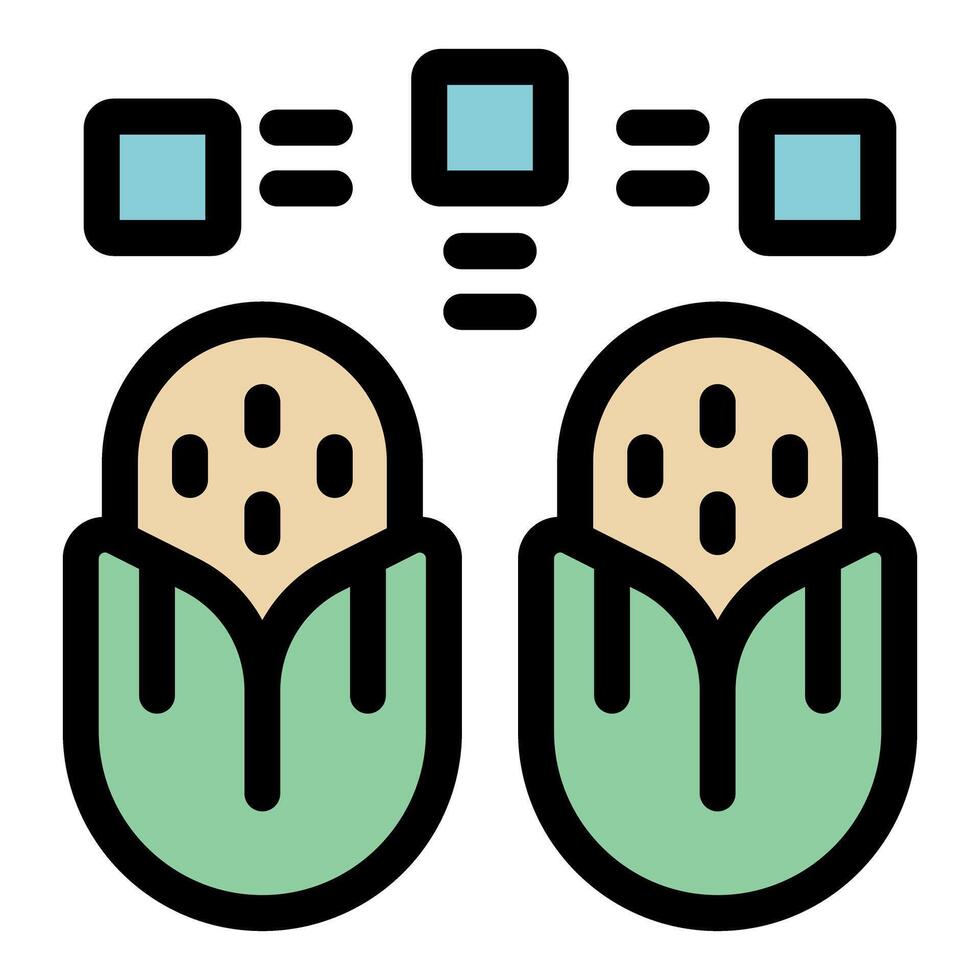 Two corn cobs representing genetically modified food production vector