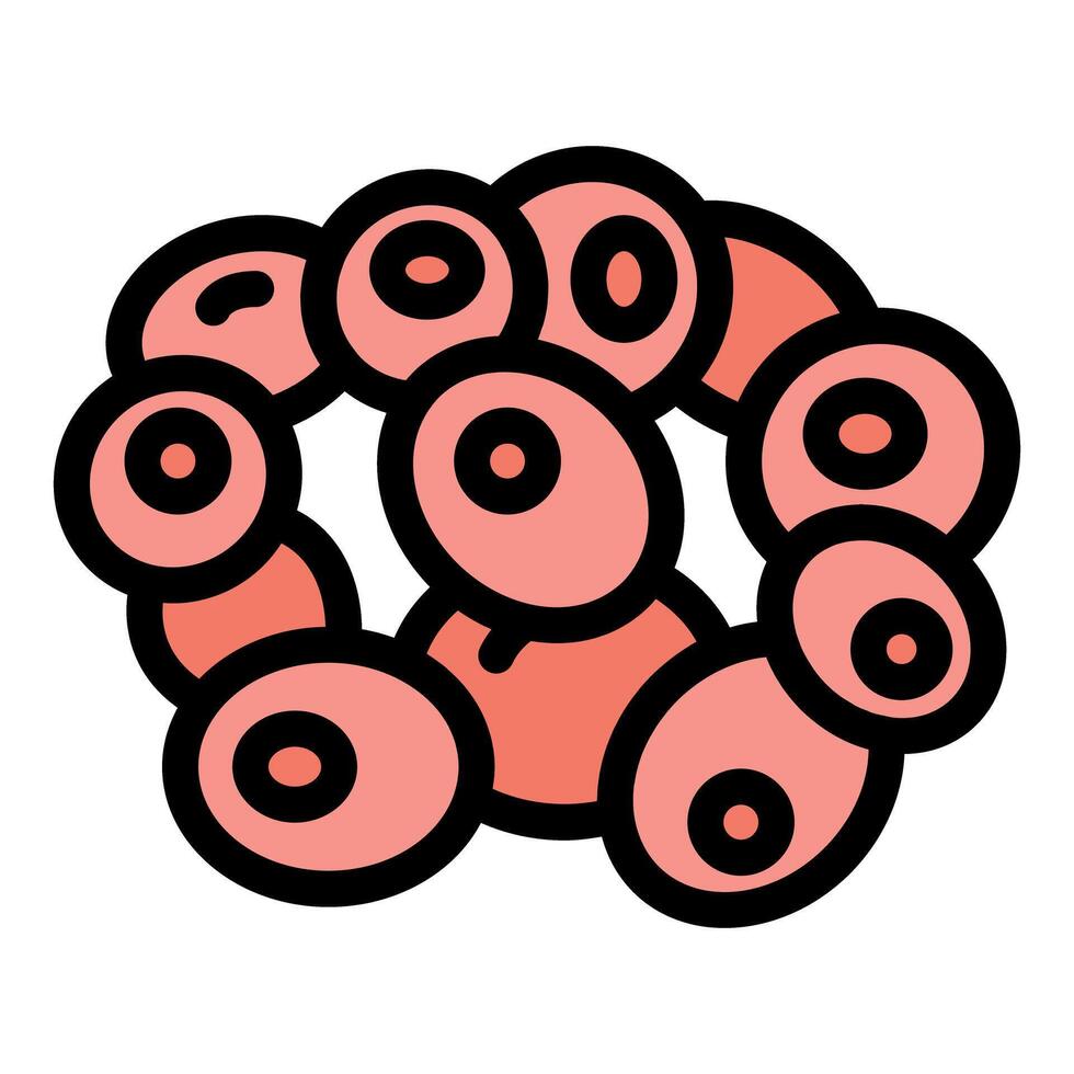 Ovum cells forming zygote representing reproduction and fertilization process vector