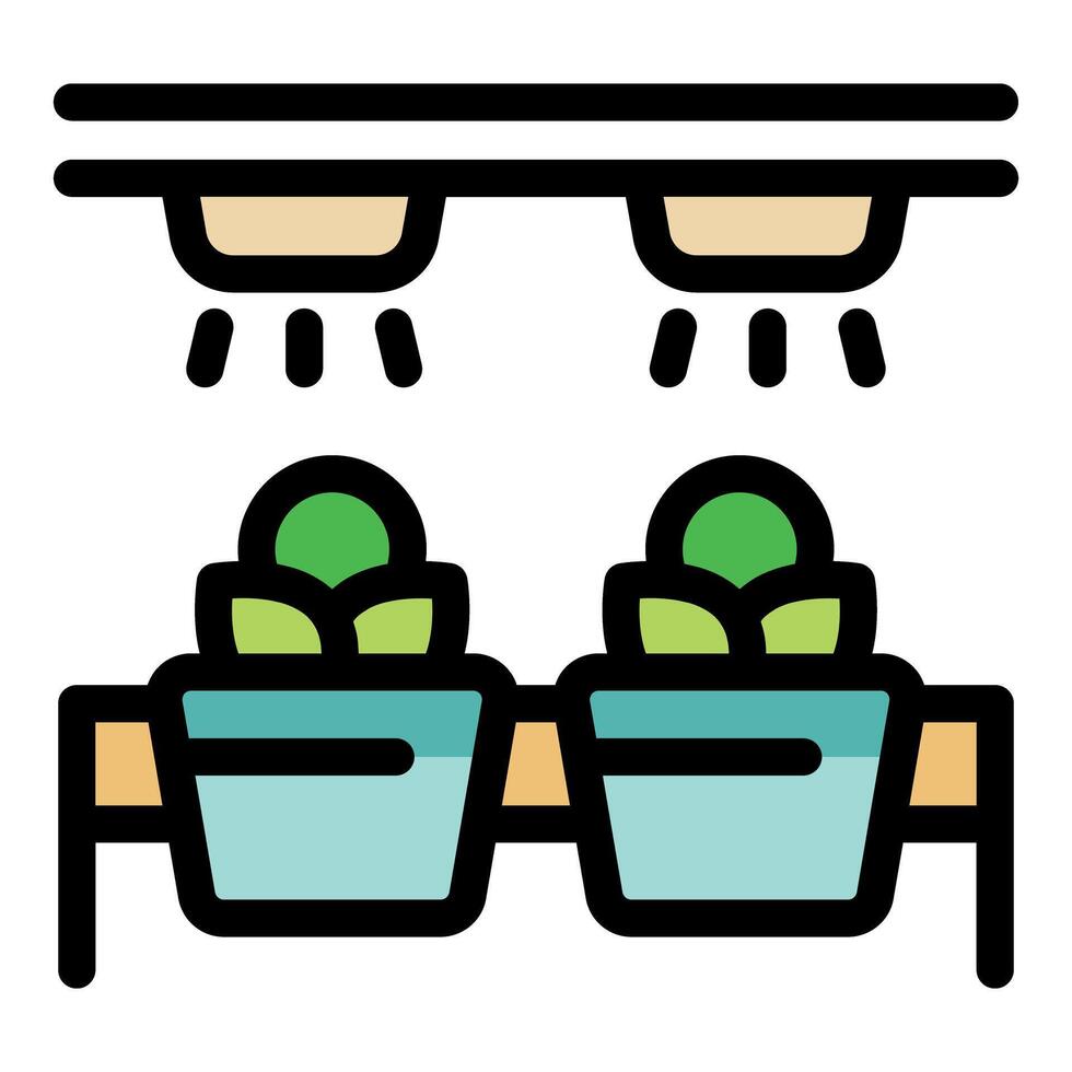 Growing plants with artificial light and hydroponics system vector