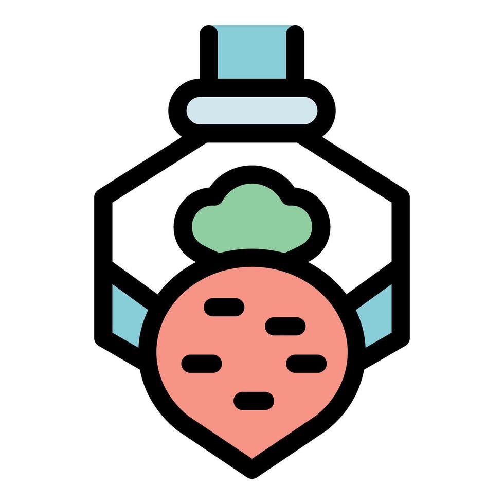 Beetroot growing in hexagonal jar with nutrient solution vector