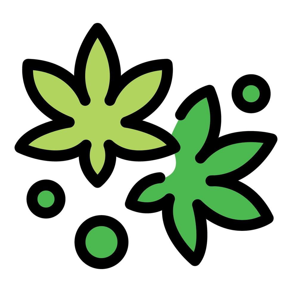 Cannabis sativa leaves falling down with green light dots vector