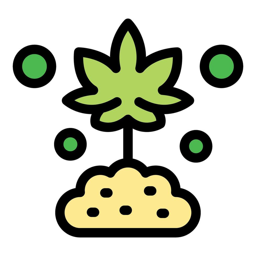 Growing cannabis plant with green leaves and fertilizers on soil vector