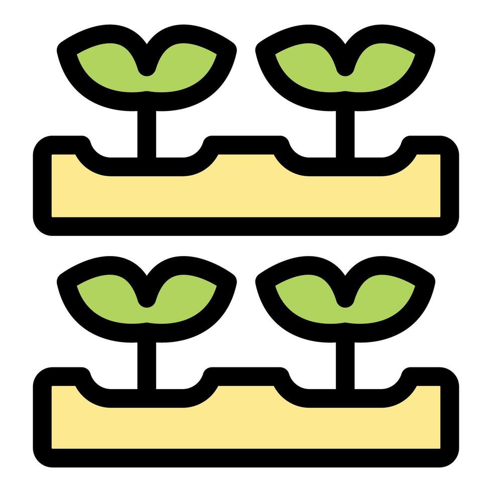 Seedlings growing in seed trays, ready for planting in garden vector