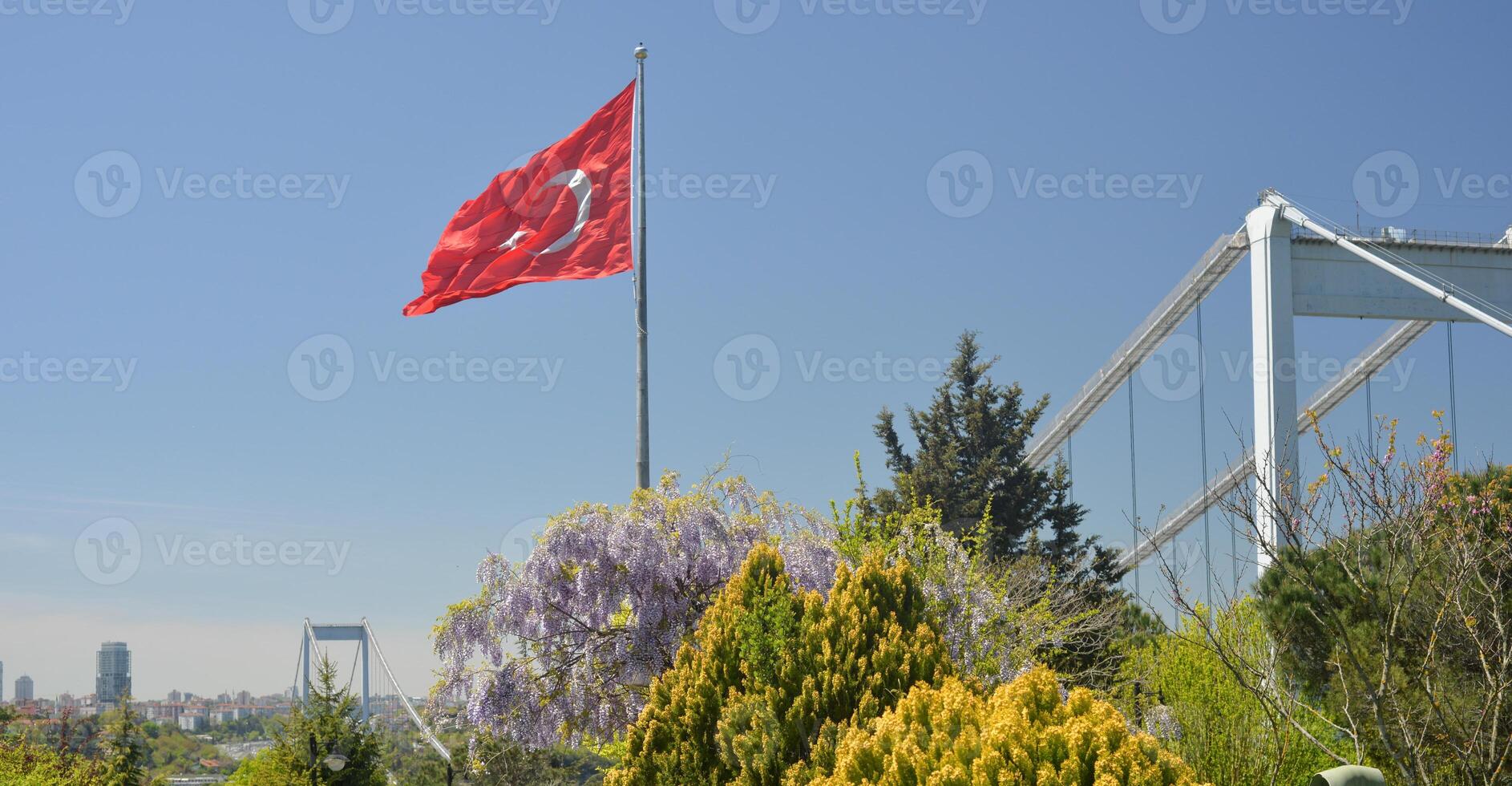 The Turkish flag is waving in the wind in a park overlooking the bridge over the Bosphorus and beautifully blooming sakura. Travel Istanbul background photo