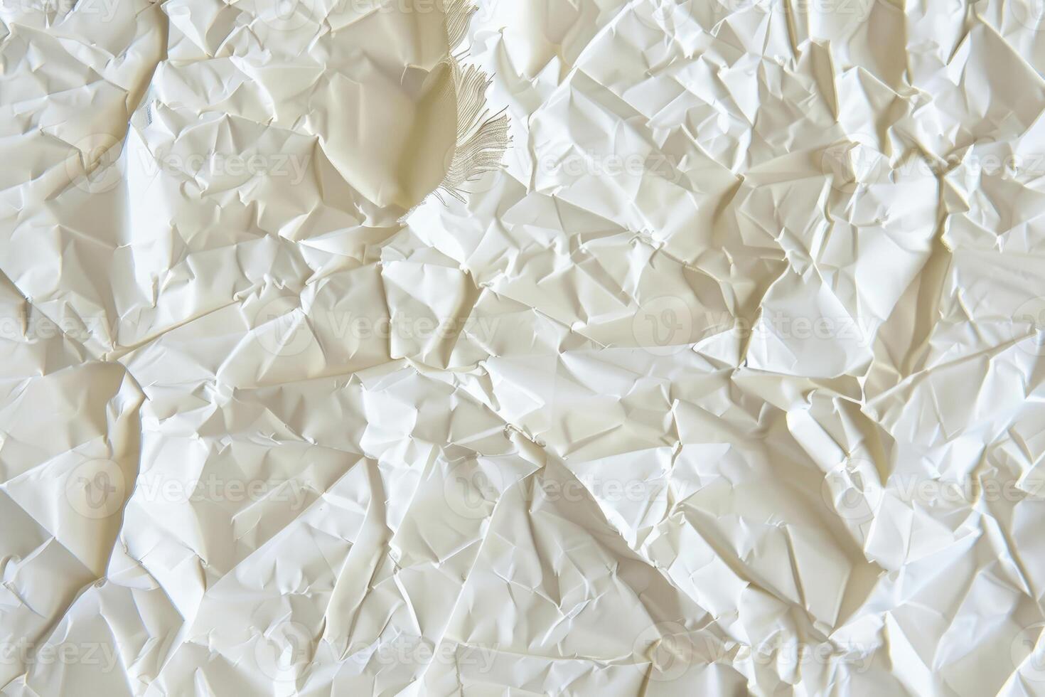 A Crumpled Sheet of White Paper with a Tear photo