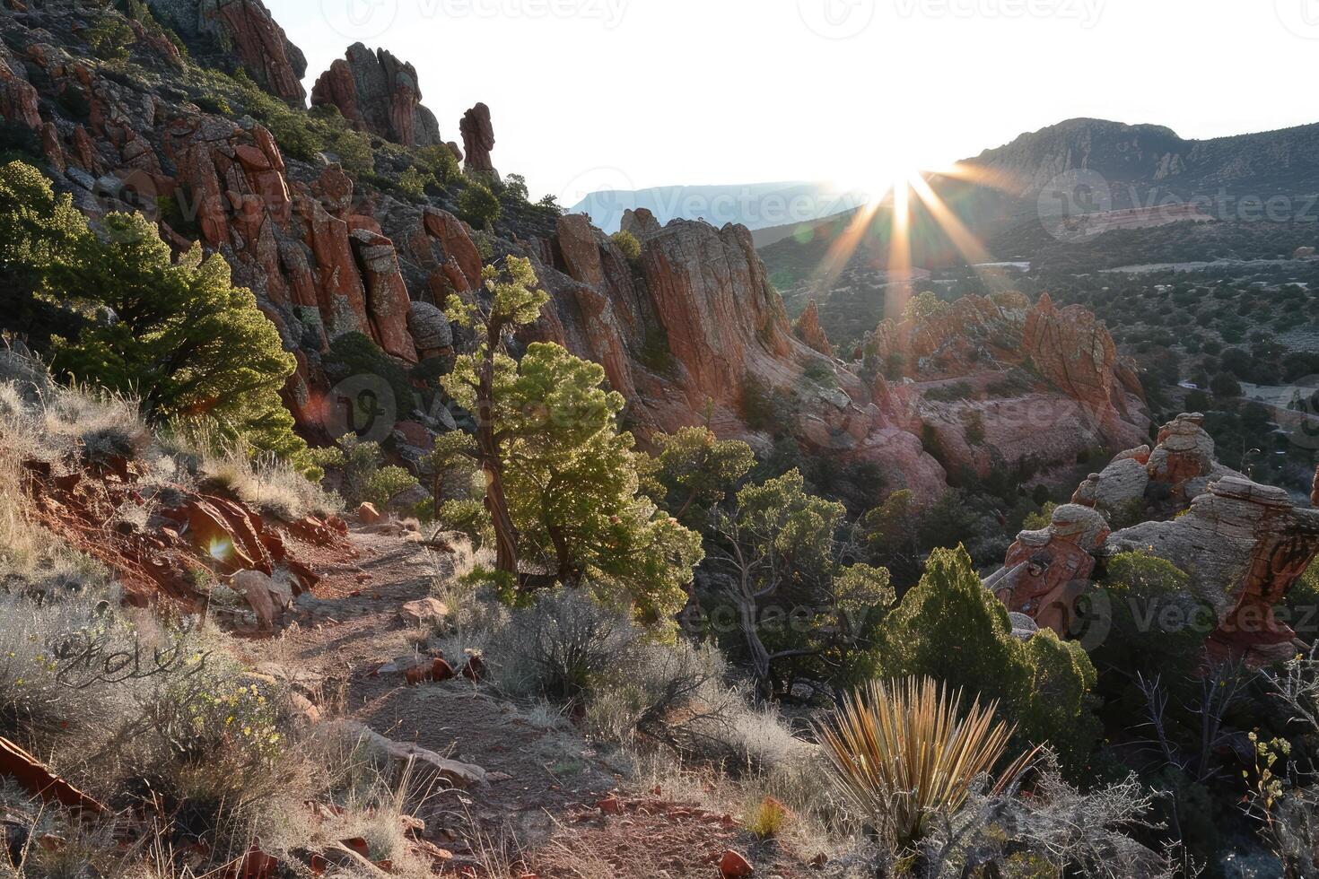 A Sunlit Trail Through Red Rock Formations photo