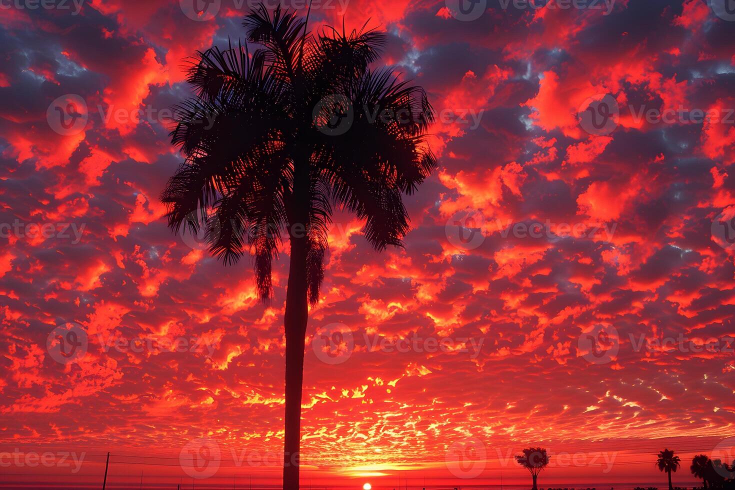 Vibrant Tropical Sunset with Silhouetted Palm Tree in Fiery Sky photo