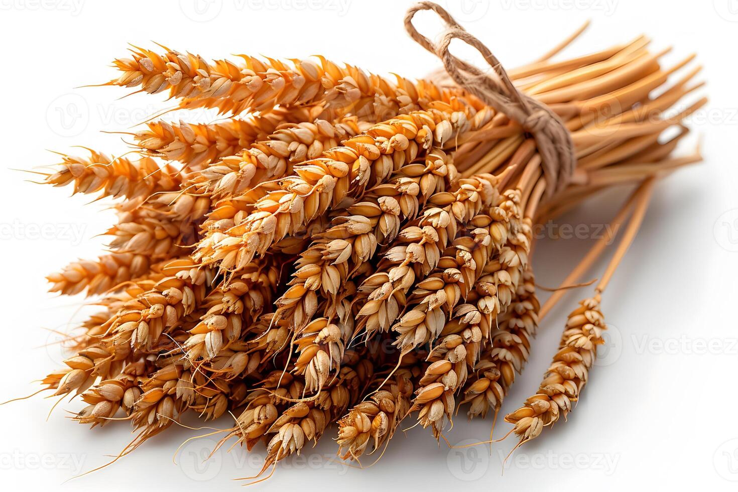 Golden Wheat Bundle for Autumn Harvest and Rustic Farmhouse Decor photo