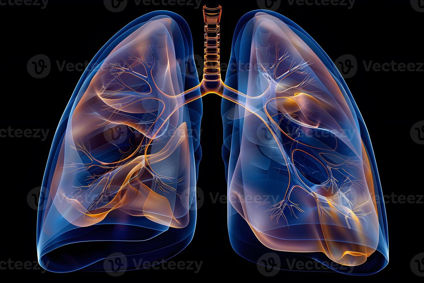 Futuristic Digital Visualization of Human Lungs for Medical and Scientific Use photo