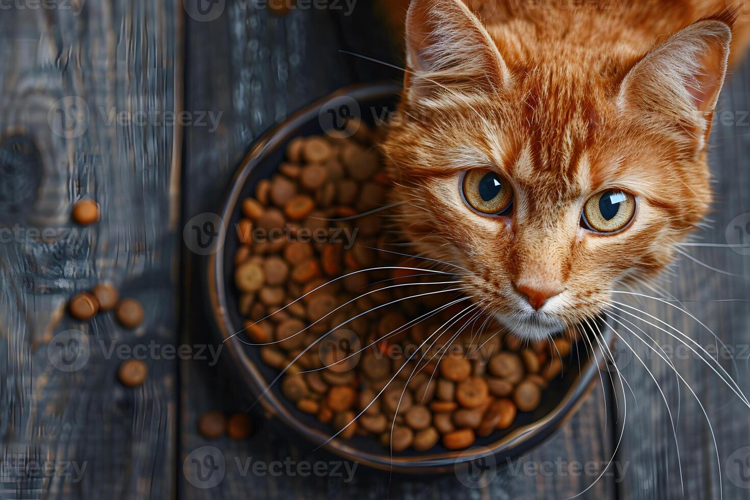 Curious Ginger Cat with Whiskers Hovering Over a Bowl of Dry Food photo