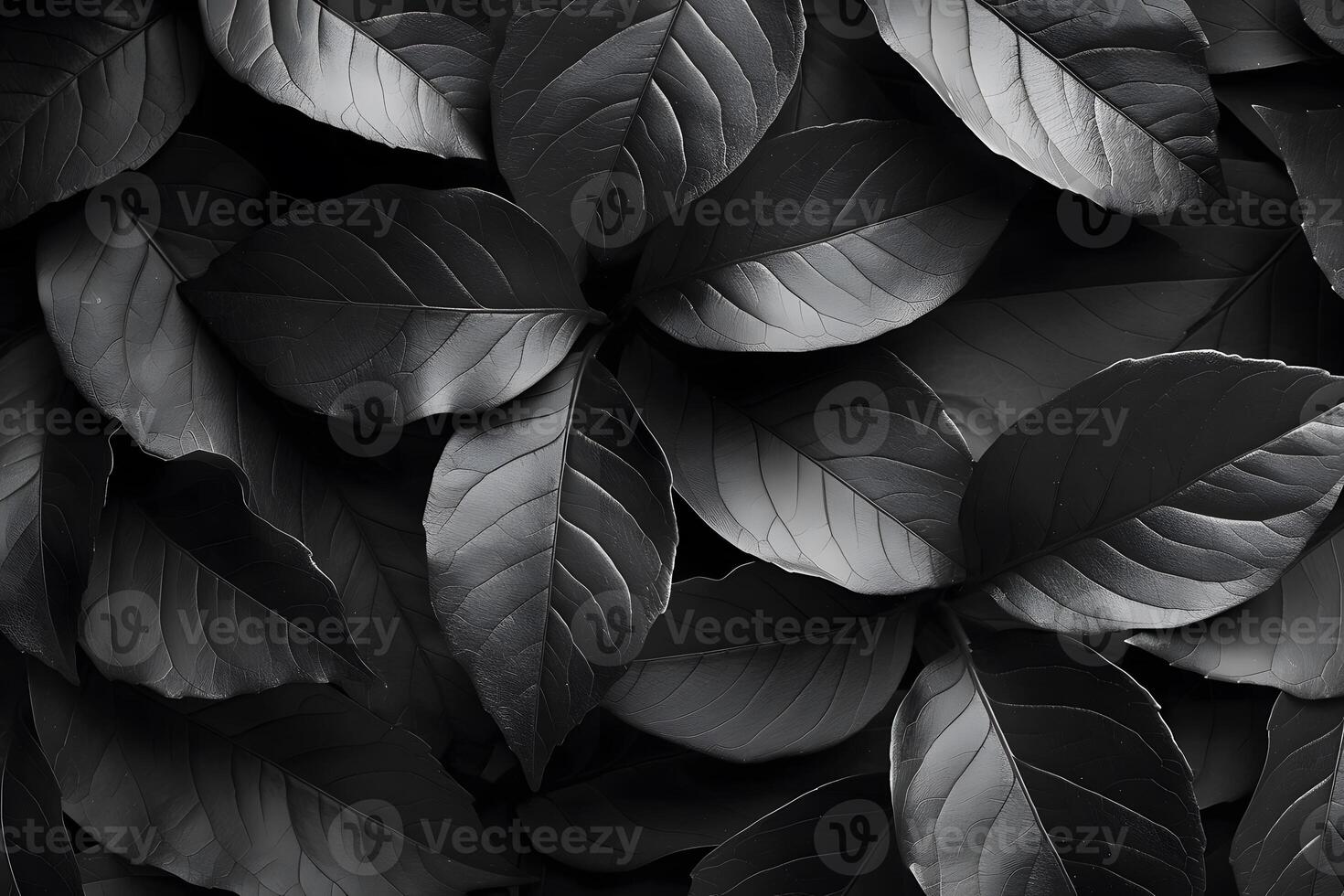 Monochrome Leaf Pattern Nature-Inspired Design for Wall Art and Decor photo