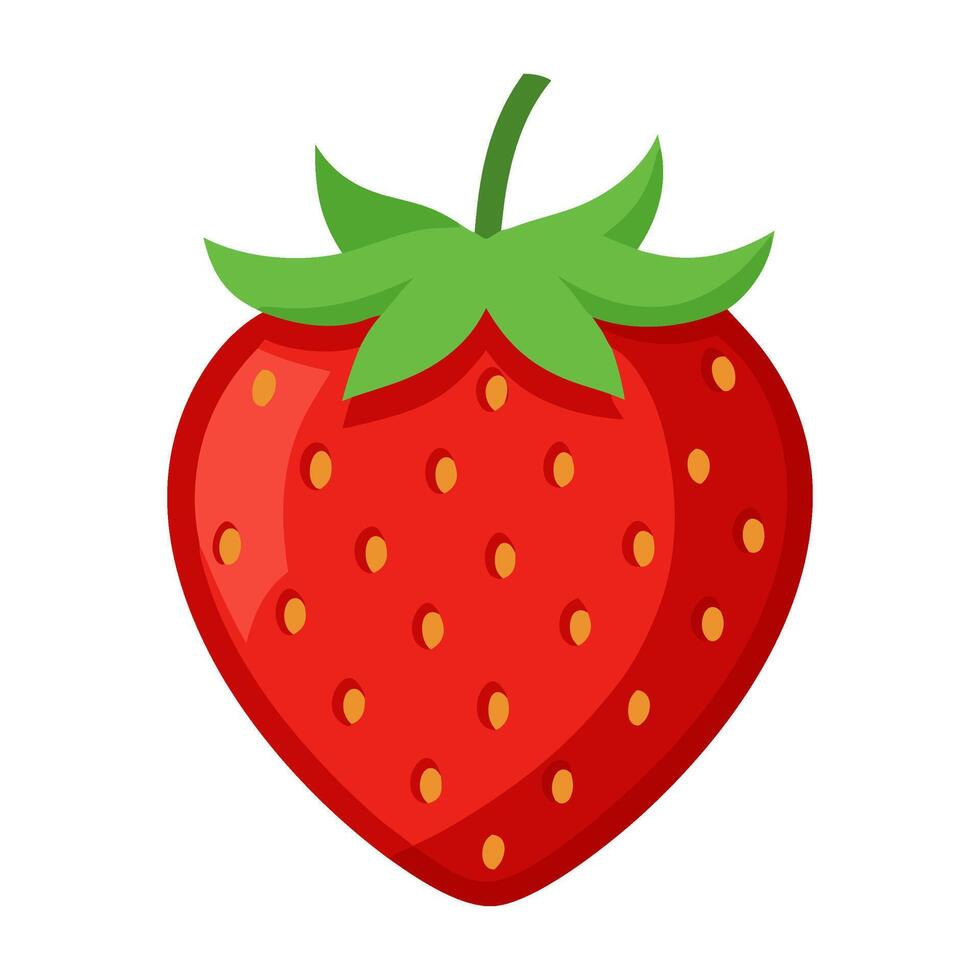 Strawberry colorful fruit. Modern abstract flat style isolated on white. Natural juicy ripe berry illustration vector