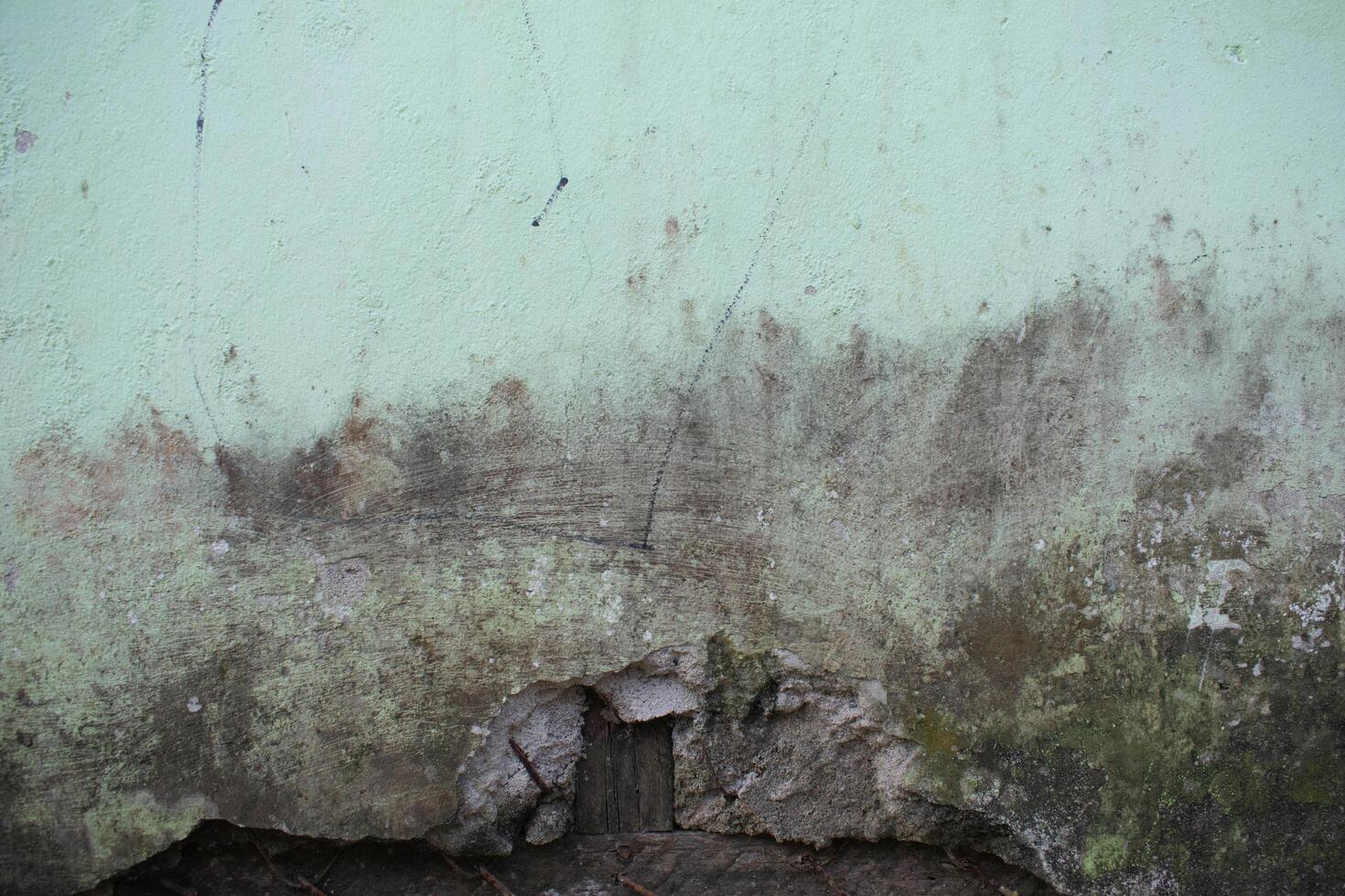 Cement walls with moss and damage photo