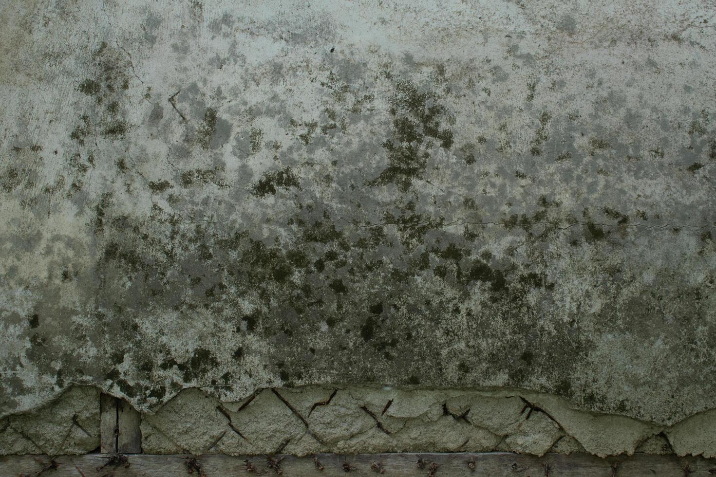 Cement walls with moss and damage photo